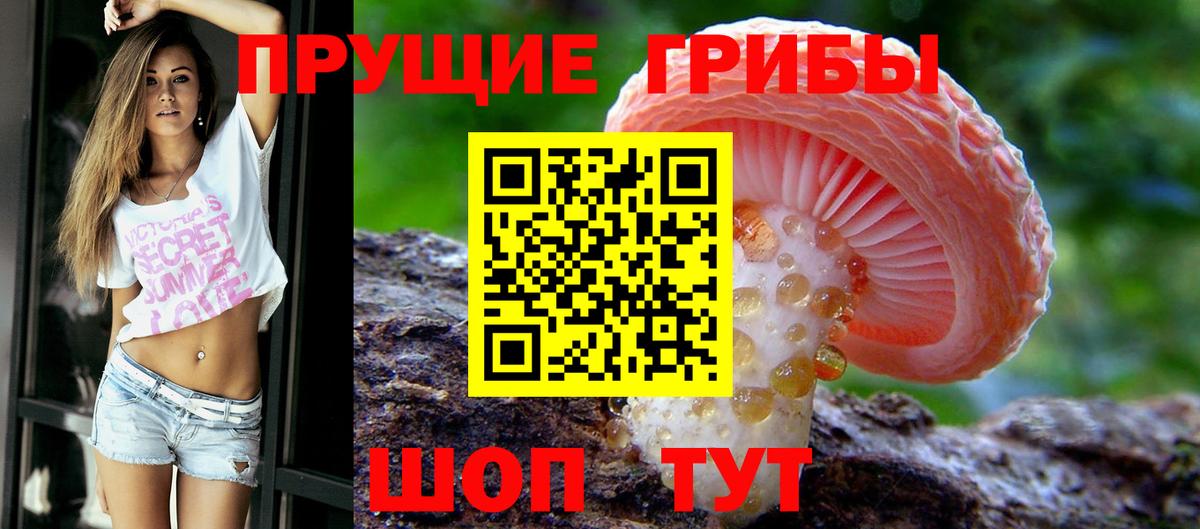 Светлоград  Галлюциногенные грибы Magic Shrooms  Псилоцибиновые грибы MAGIC MUSHROOMS  Вход с VPN 