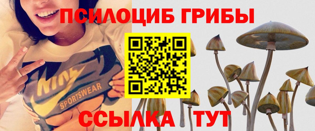 Псилоцибиновые грибы MAGIC MUSHROOMS Светлоград